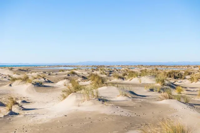 Pointe de l'Espiguette