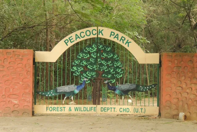 Peacock Park