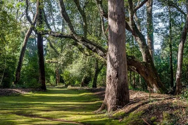 Quinta do Santo (Santo António da Serra)