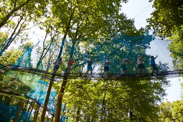 🌳 Hisse et Ho! 🌳