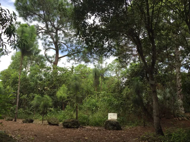 FIU Nature Preserve