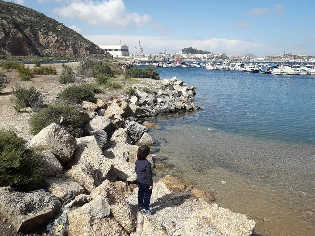 Playa del Espalmador