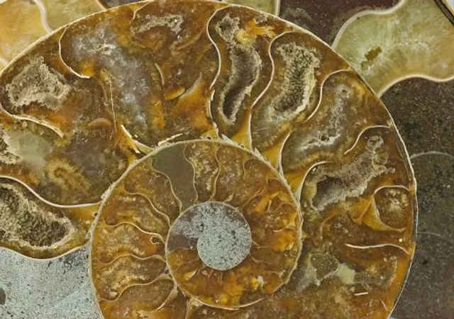 Twin Rivers Snohomish County Park