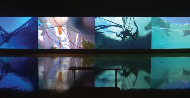 USF Contemporary Art Museum