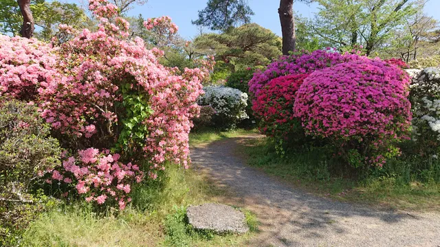 Tsutsuji Park