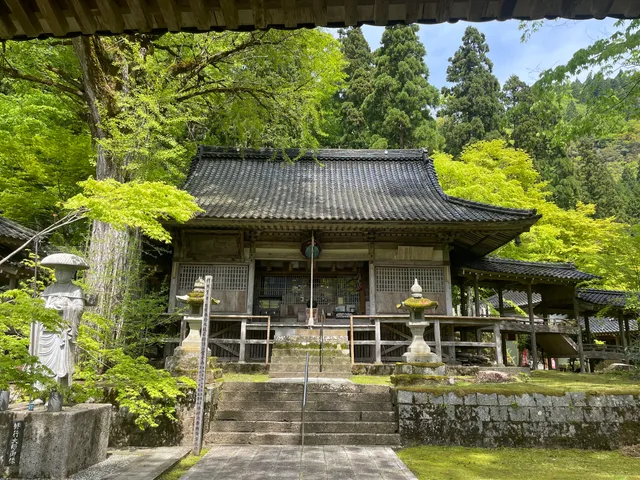 photo-3