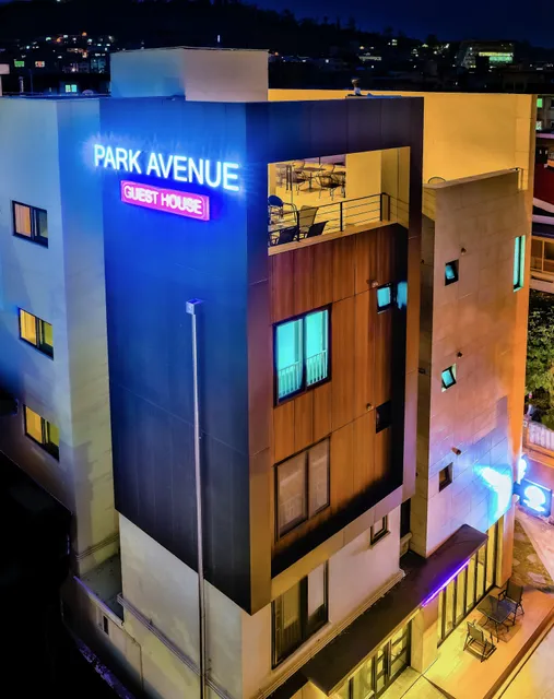 Park Avenue Guest house