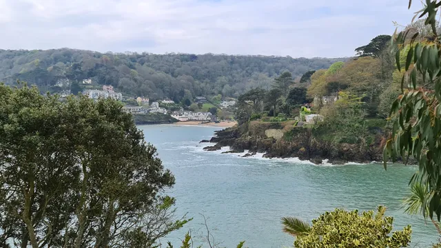 Salcombe Castle