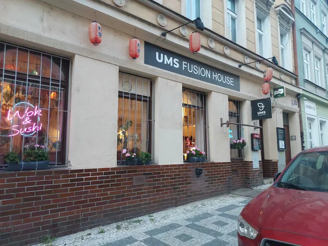 UMS Fusion house Žižkov (U malého slona)