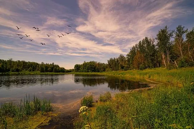 Chickakoo Lake Recreation Area