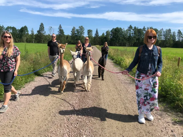 Karlstad Alpackagård