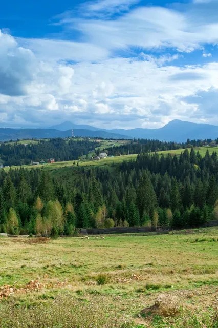 Mountain Valley Peppers