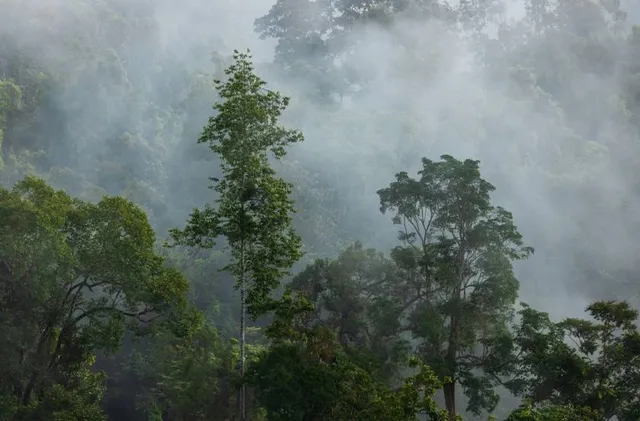 Mollem National Park & Bhagwan Mahavir Wildlife Sanctuary