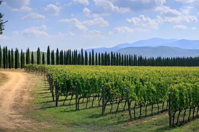 The Poggiarello Wines