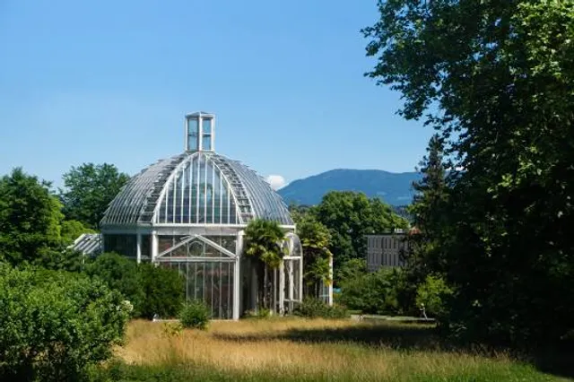 photo-1