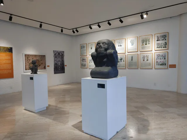 Museo Flor de Chinampas