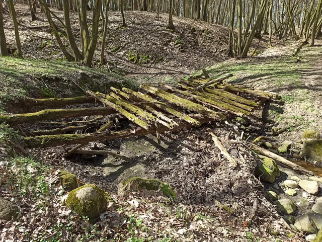 Uroczysko Wąwóz Klony