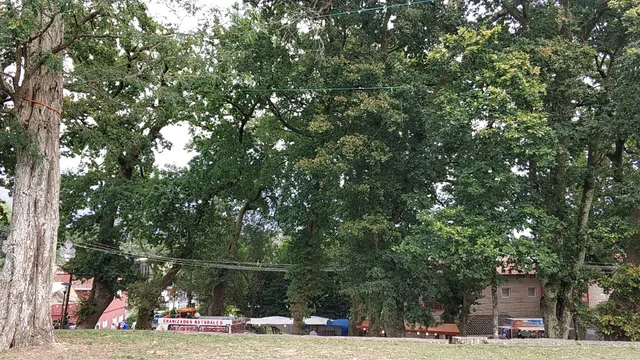 Carballeira de Santa Minia