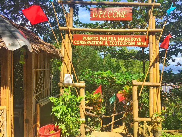 Puerto Galera Mangrove Conservation