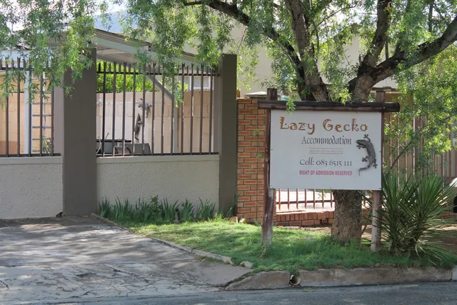 Lazy Gecko Accommodation