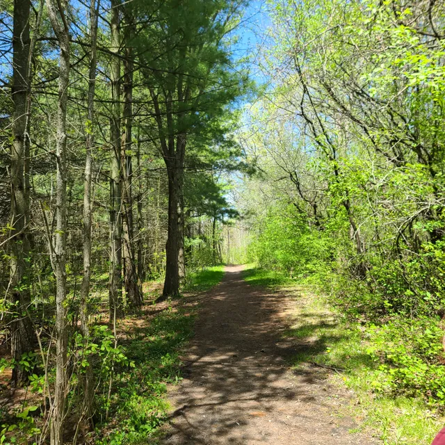 Marshlands Conservation Area