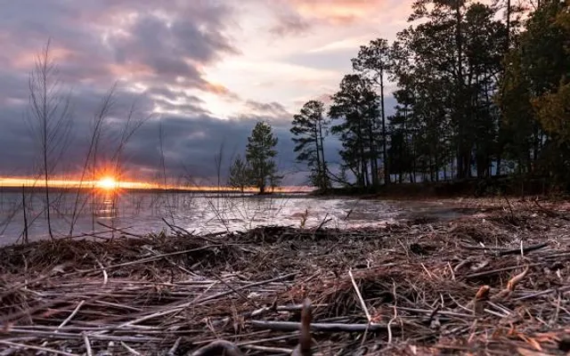 Hamilton Branch State Park