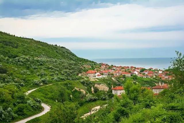 Kitaibel Pál Viewing Tower