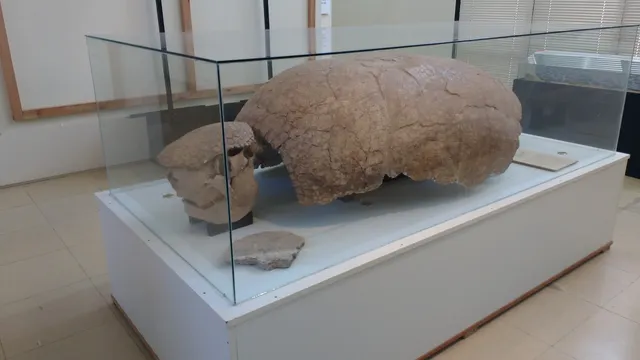 MAHM Museo Archivo Histórico Municipal Don Santos Tosticarelli