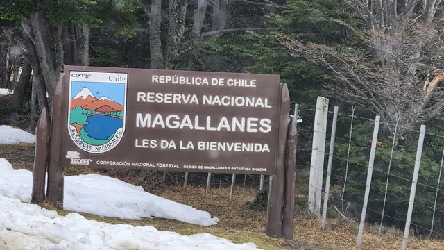 Reserva Nacional Magallanes