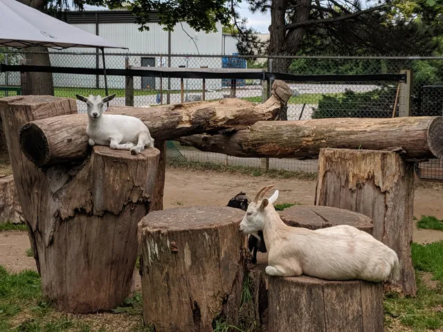 Happy Rolph's Animal Farm