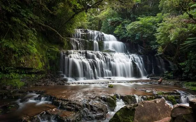 Purakaunui Falls Walk