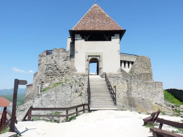 Pilisi Parkerdő Zrt.