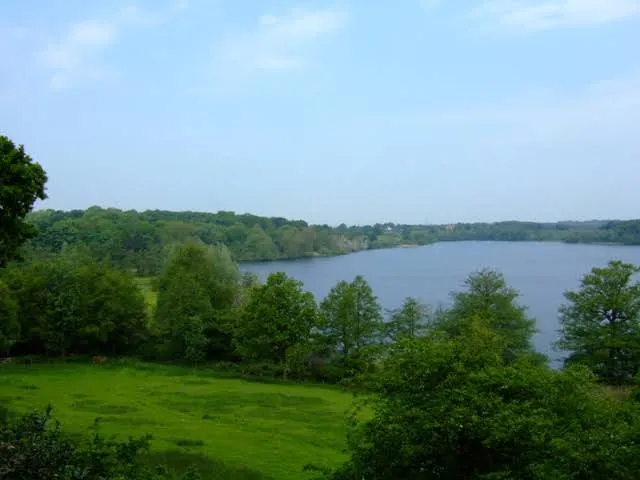 Rostherne Mere
