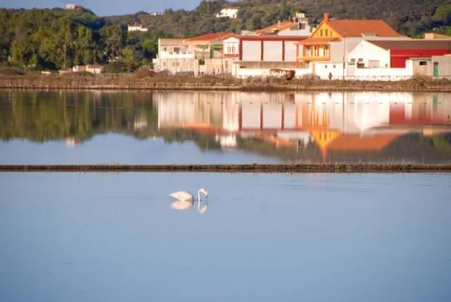 Saline Di Carloforte