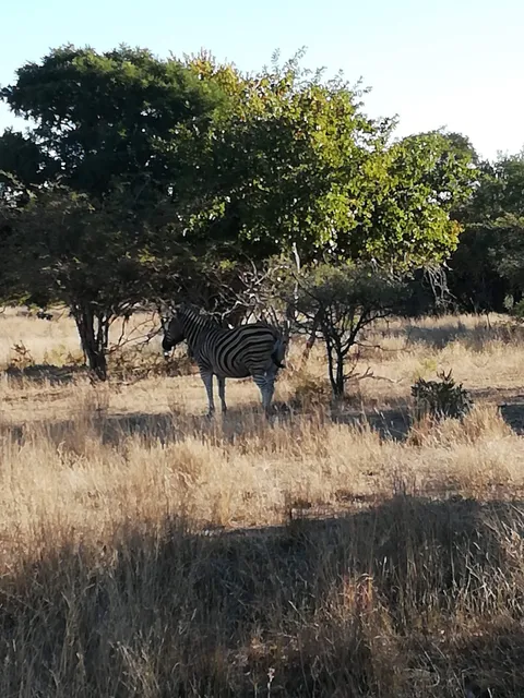 Sable Ranch Thaba Khaya Lodge