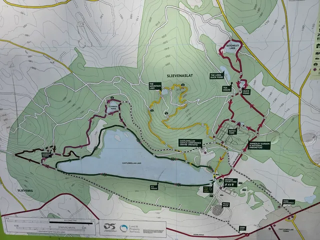 Castlewellan Mountain Bike Trails