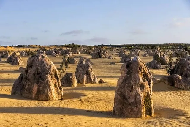 The Pinnacles Desert