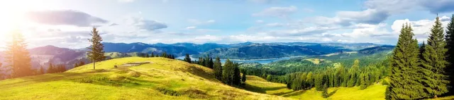 Natural Park Vanatori Neamt