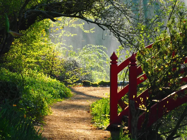 Schlosspark Dennenlohe