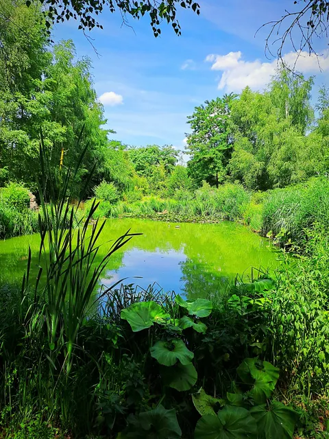 Boswachterij de Kievit