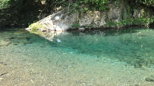 水恋鳥広場