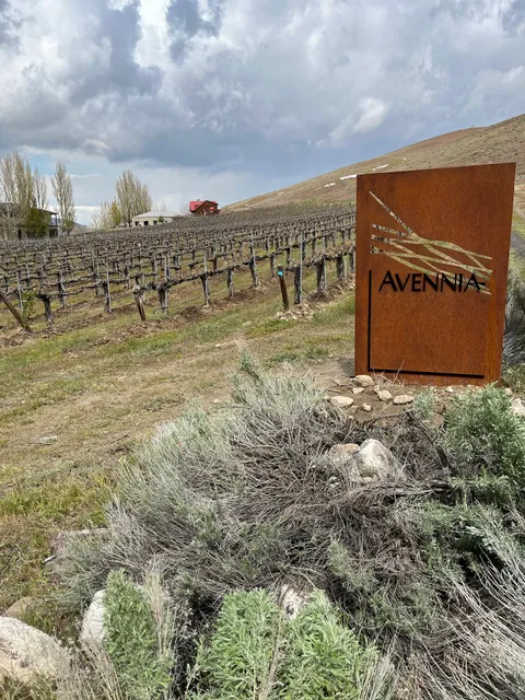 Avennia Estate Tasting Room