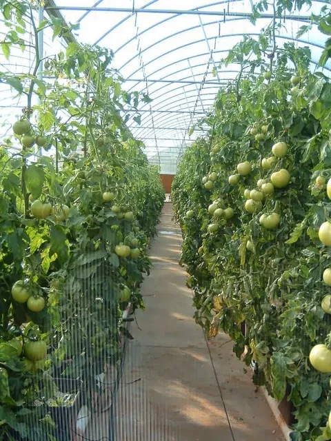 Hurricane Creek Farms