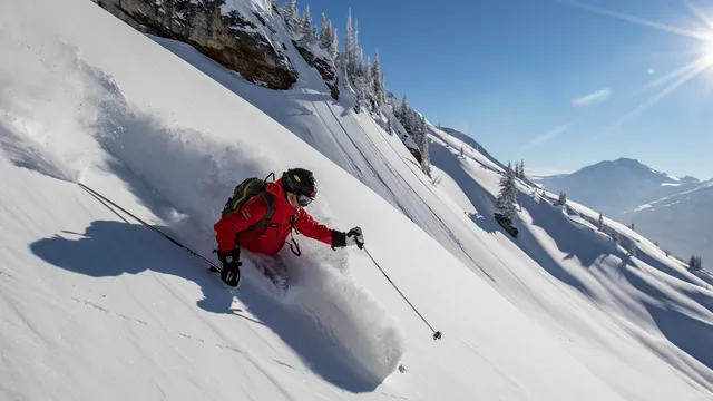 Mike Wiegele Helicopter Skiing