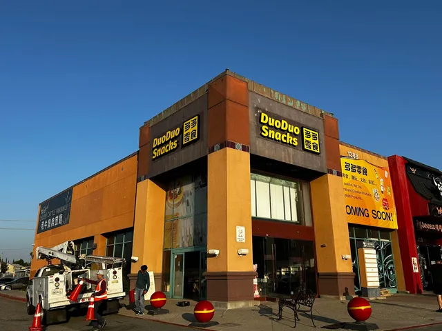 DuoDuo Snacks 多多零食