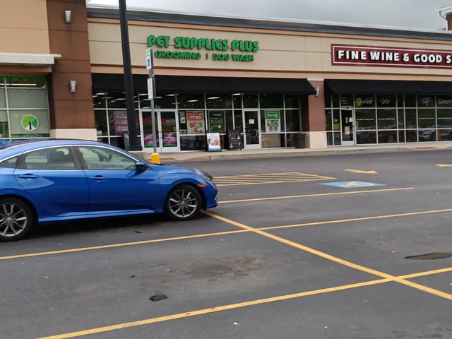 Pet Supplies Plus Etters