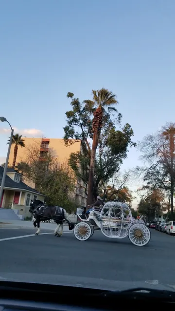Festival of lights Giftshop