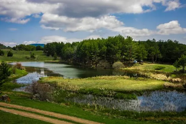 Tomb of Sheikh Ali Samarkand