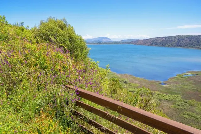 Mokotoyama Observatory Park