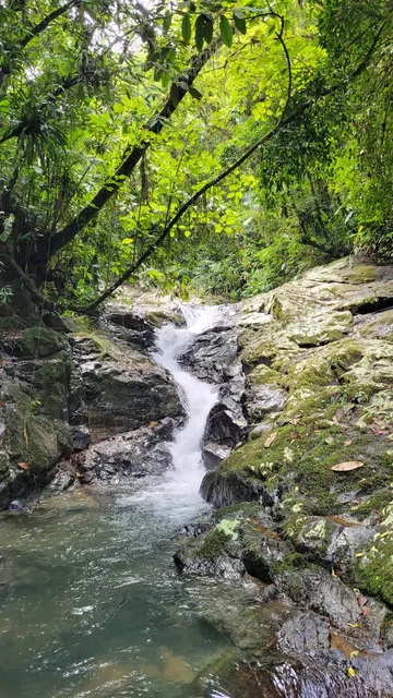 Cachoeira Molha